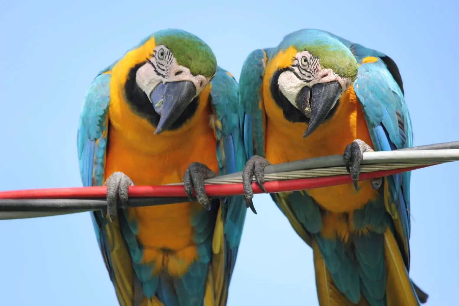 Opravdu potřebujete druhý produkt?